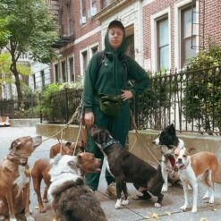 Inside Out French Terry Hoodie - Phantom Pine(Inside Out French Terry Hoodie Phantom Pine) 9 Inside Out French Terry Hoodie - Phantom Pine(Inside Out French Terry Hoodie Phantom Pine) -Tomboyx Shop Phantom Pine Inside Out French Terry HoodieUGC2