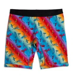9" Boxer Briefs - Pride Rainbow Dragon(9 Boxer Briefs Pride Rainbow Dragon)