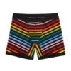 6" Fly Boxer Briefs - Progress Pride Stripes(6fly Progress)