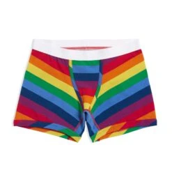 4.5" Trunks - Rainbow Pride Stripes(4 5 Trunks Rainbow Pride Stripes)