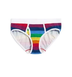 Iconic Briefs - Rainbow Pride Stripes(Iconic Briefs Rainbow Pride Stripes)